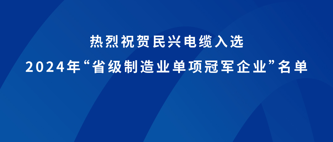 MK体育
荣获广东省制造业单项冠军！